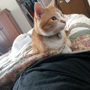 Meet your Posher, Mya